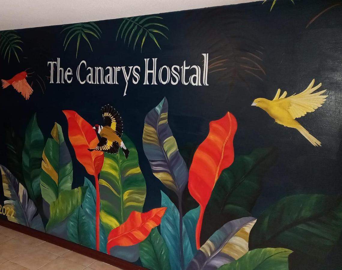 The Canarys Hostal Санта Роса де Кабал Екстериор снимка