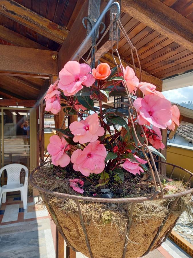 The Canarys Hostal Санта Роса де Кабал Екстериор снимка